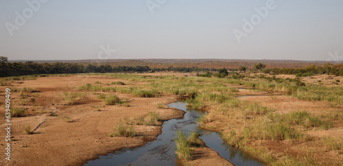 	 Krüger Park - Afrikanischer Busch - Letaba River / Kruger Park - African bush - Letaba River /