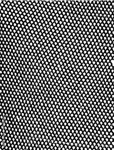 Black Fishnets