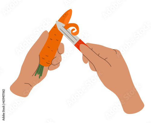 Hands peel the carrots with vegetable peeler. Home cooking food process. Colorful flat vector illustration.