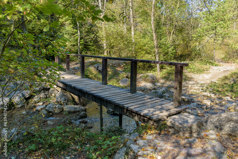 Fototapeta premium Wooden bridge in Homole Ravine in Pieniny mountains