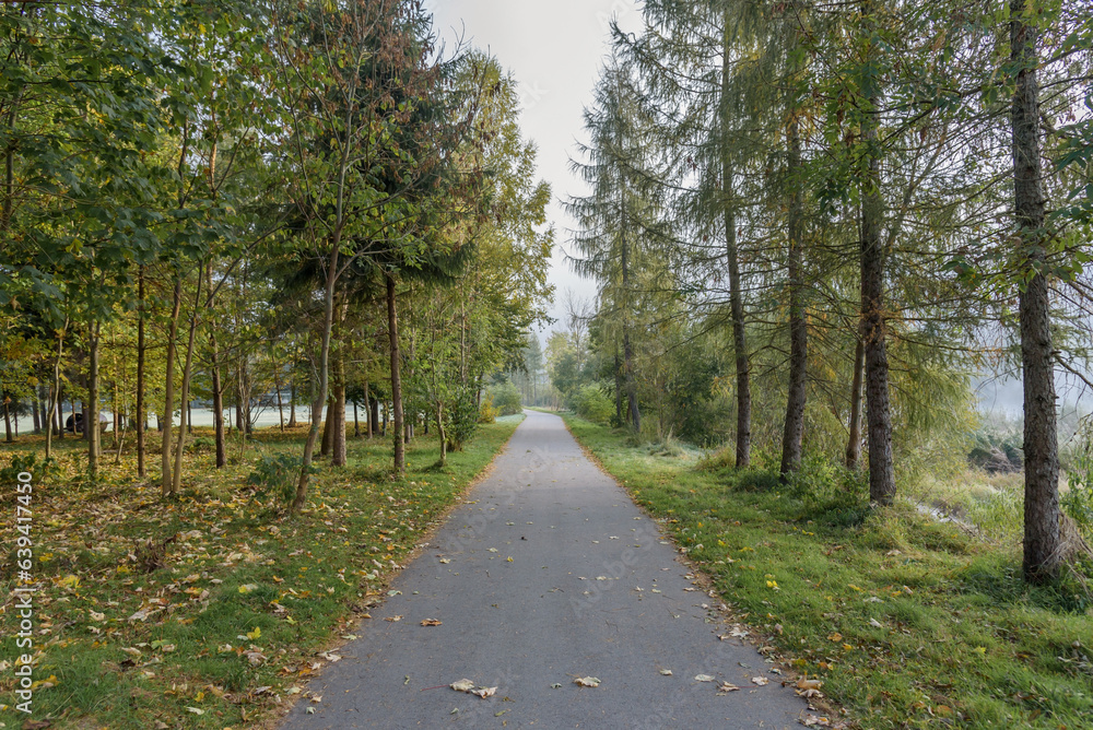Fototapeta premium Alley in Sromowce Nizne at foggy morning