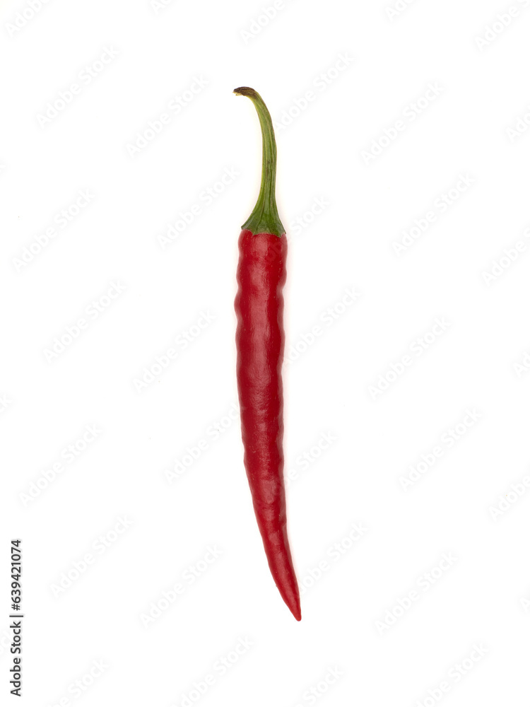 生のトウガラシ 生のトウガラシ