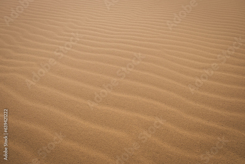 Sand on the Sarykum dune in Dagestan