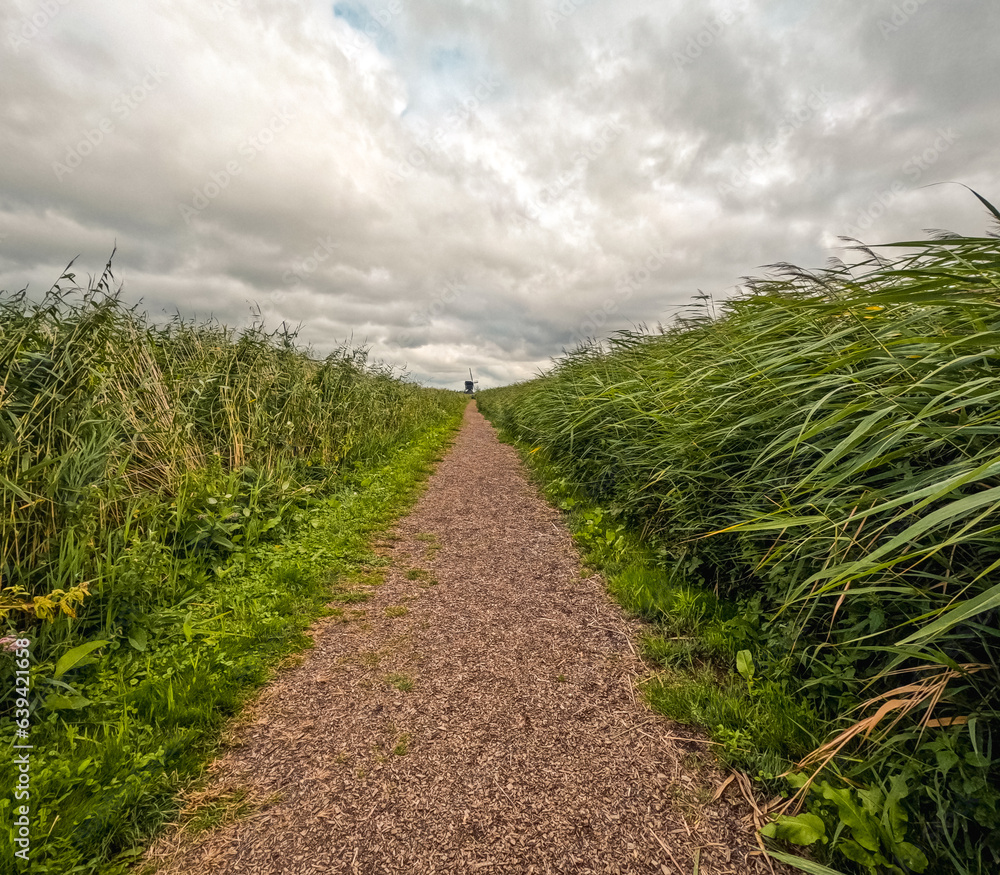 Obraz premium Looking down the center of a path in Kinderdijk, Netherlands. At the end of the trail, a historical wooden Dutch windmill can be seen. Kinderdijk has been a UNESCO World Heritage Site since 1997l