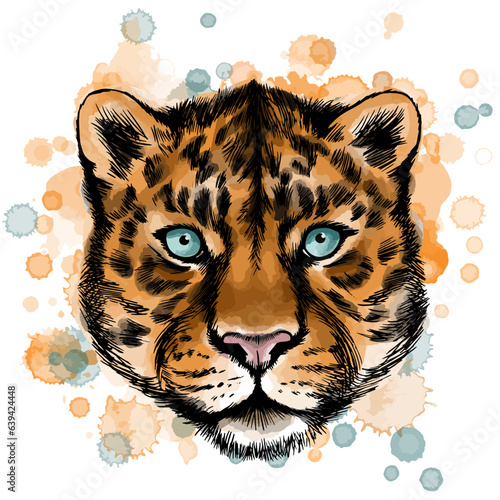Vector illustration of leopard portrait with watercolor spots