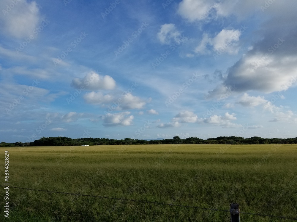 Obraz premium field and sky