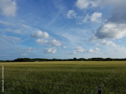 field and sky