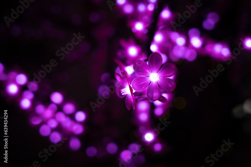 enchanting pink light up flowers