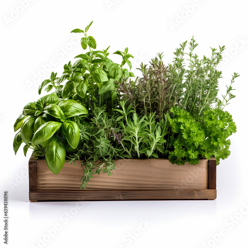 Freshly Herbs in a Wooden Planter box