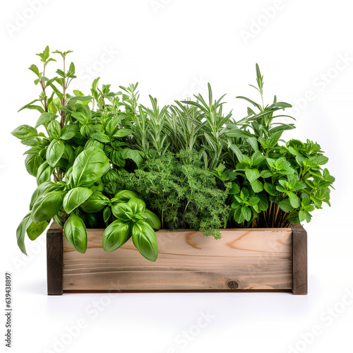 Freshly Herbs in a Wooden Planter box