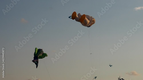 Kite Festival. Holiday on the beach. Kites of various shapes. Entertainment for tourists. Aerodynamics.