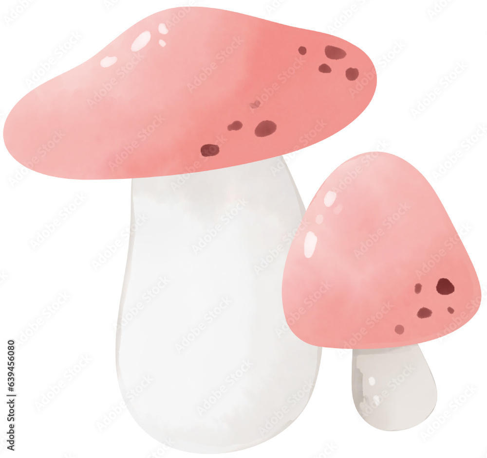 Cute mushroom illustration Autumn concept