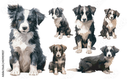 watercolor puppy border collie clipart for graphic resources