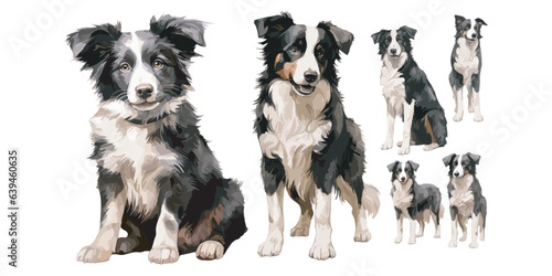 Fototapete watercolor puppy border collie clipart for graphic resources