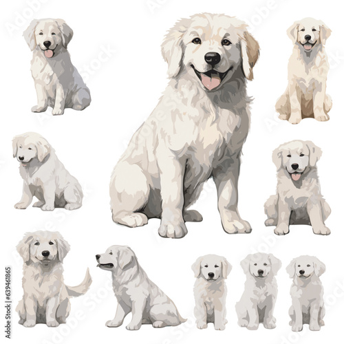 watercolor puppy great pyrenees clipart for graphic resources
