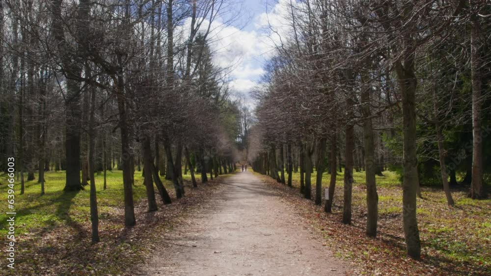 View of empty pathway amidst woodland. Bare trees at park with cloudy sky in background. Idyllic view of nature during springtime. View of empty pathway amidst woodland. Bare trees at park with cloudy sky in background. Idyllic view of nature during springtime.