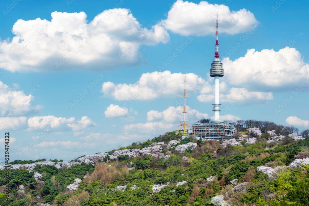 Cherry blossoms bloom in spring at Namsan Mountain at Seoul Tower, South Korea.