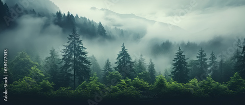 Nature foggy pine forest and hills  banner