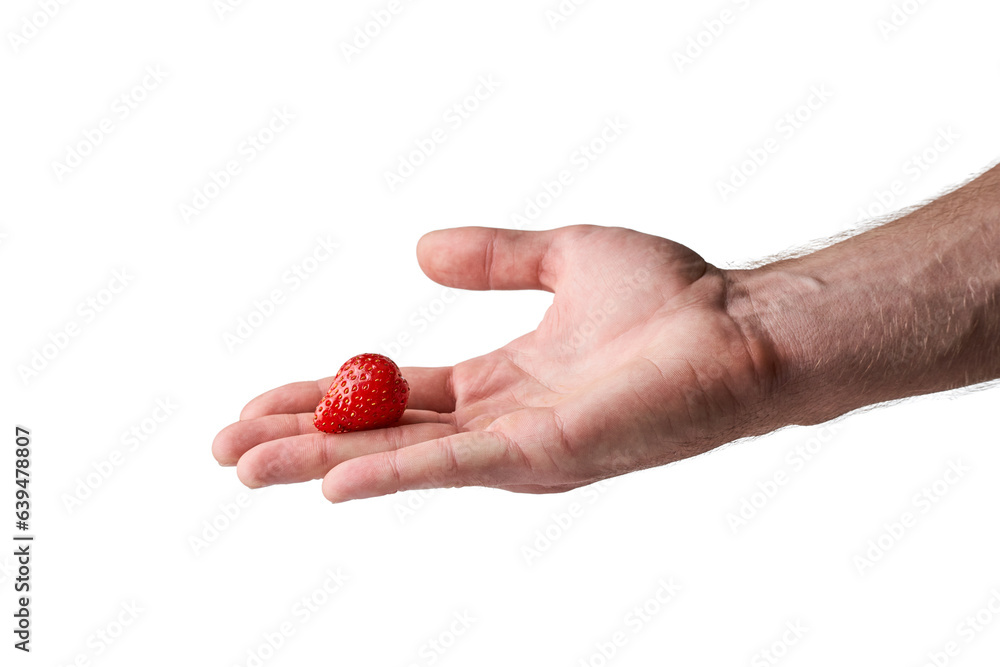 Strawberry in a man's hand on a white background. Hand holding strawberry on white Strawberry in a man's hand on a white background. Hand holding strawberry on white
