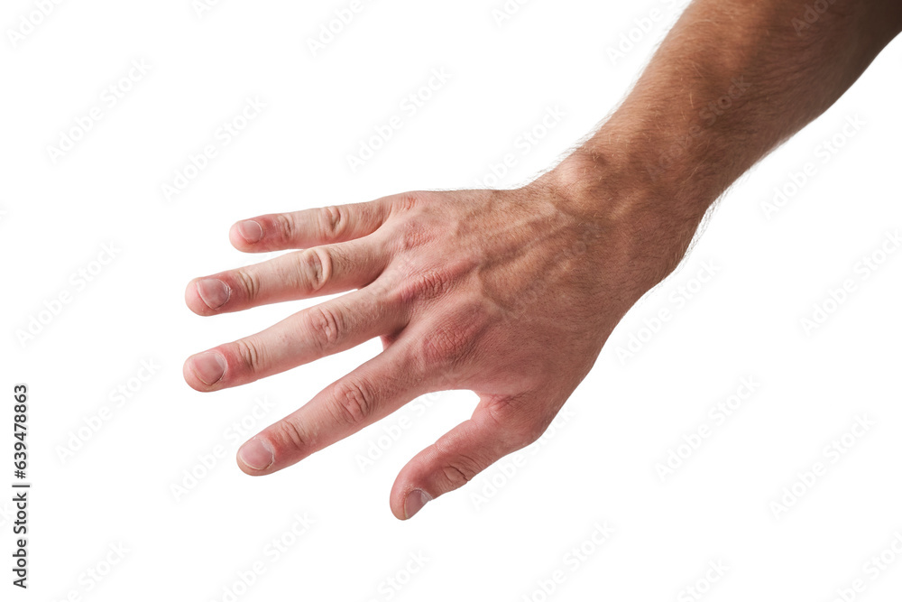 big male hand on white