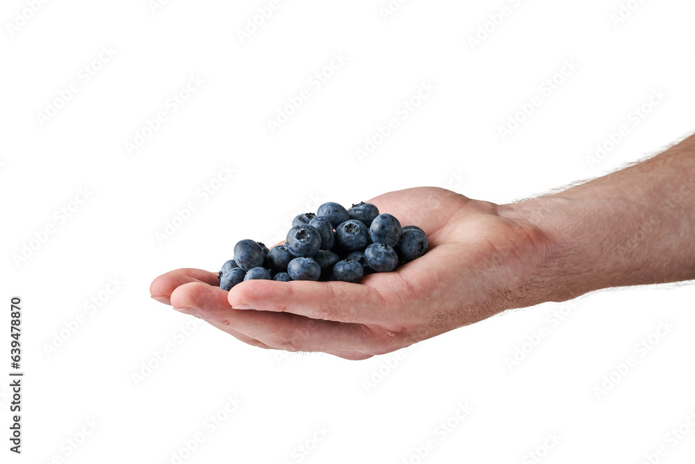blueberry in man's hand on white. Isolate