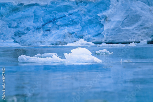 Ice floes float in the water at a glacier