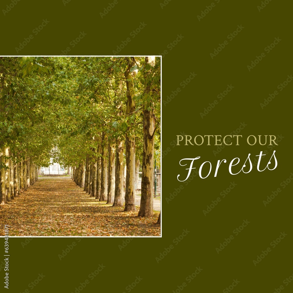 Fototapeta premium Composite of protect our forests text and scenic view of trees growing in a row at forest