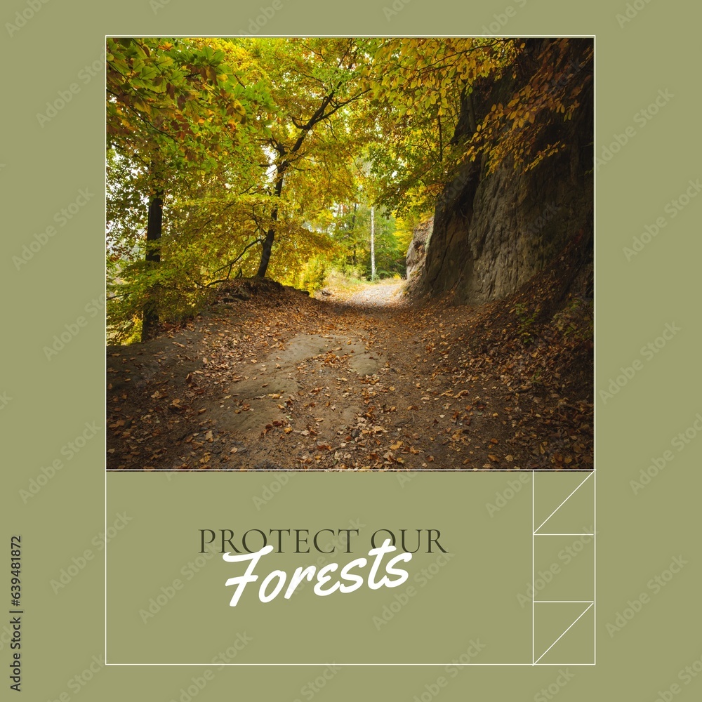 Fototapeta premium Composite of protect our forests text and idyllic view of trees growing in woodland