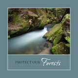 Composite of protect our forests text and long exposure of river flowing through rocks in woods