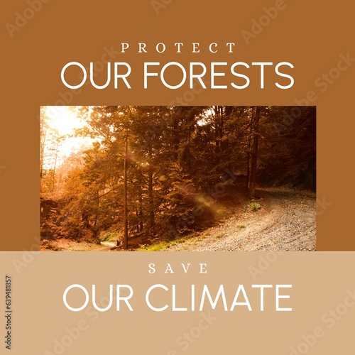 Composite of protect our forests and save our climate text and trees in woodland during sunset