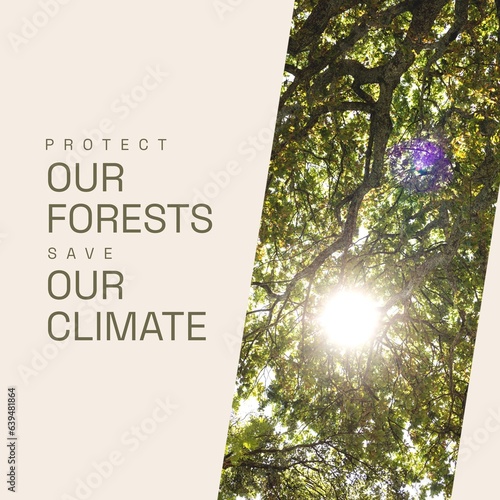 Composite of protect our forests and save our climate text, sun shining through trees in woodland