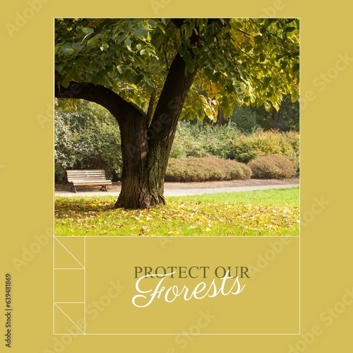 Composite of protect our forests text and tranquil view of trees growing in woodland