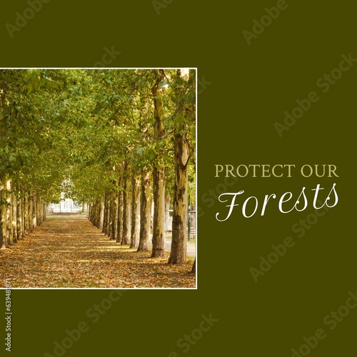Composite of protect our forests text and scenic view of trees growing in a row at forest