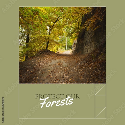 Composite of protect our forests text and idyllic view of trees growing in woodland
