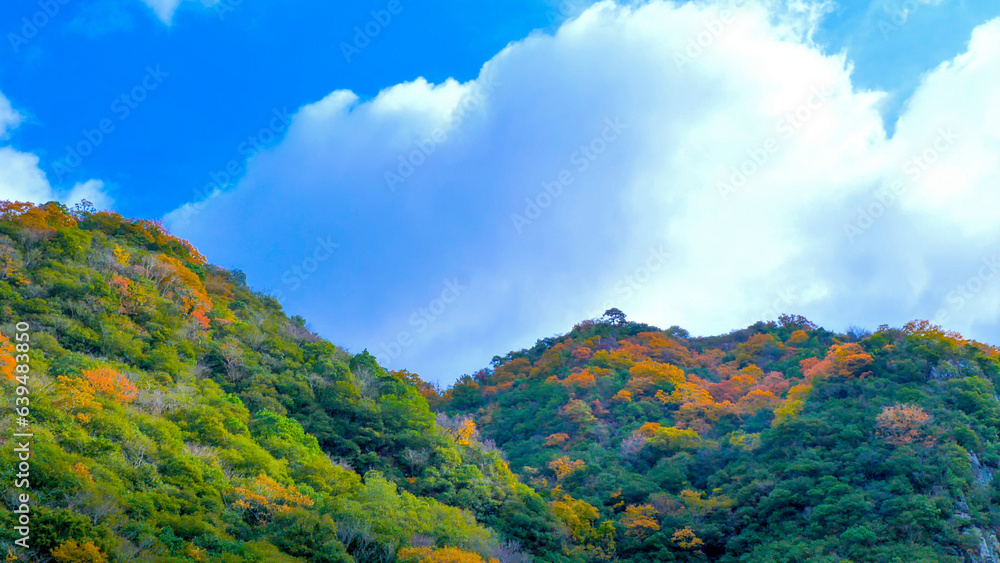 武庫川渓谷の紅葉