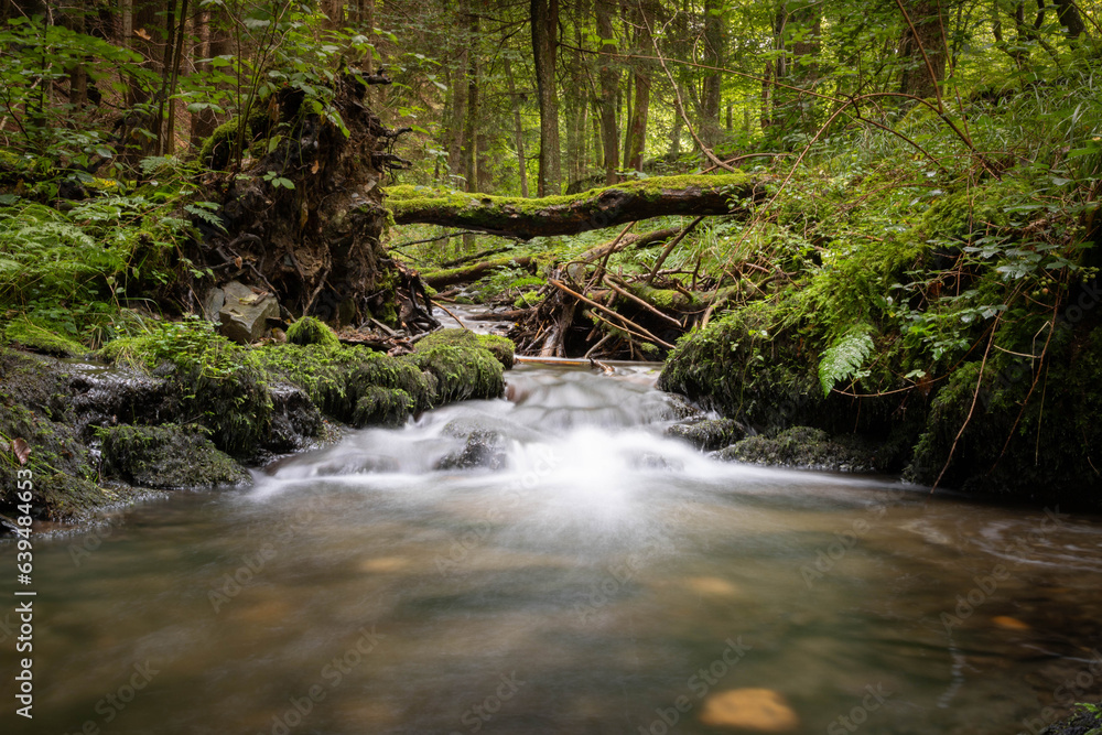 Obraz premium Friedlicher Bach im Wald mit weichem Wasser