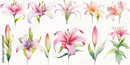 Wallpaper Mural Set of Lilly flowers watercolor style. Torontodigital.ca