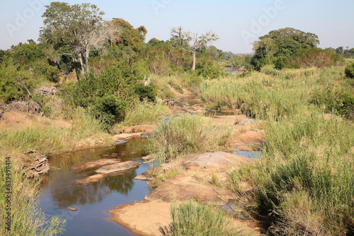 Afrikanischer Busch - Krügerpark - Sabie River / African Bush - Kruger Park - Sabie River /