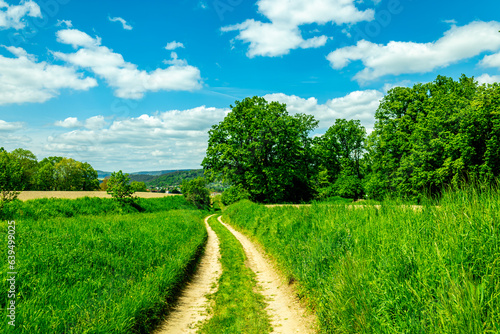 Fototapeta Naklejka Na Ścianę i Meble -  Sommerliche Wandertour durch das Saale Tal zur wunderschönen Leuchtenburg bei Kahla - Thüringen - Deutschland