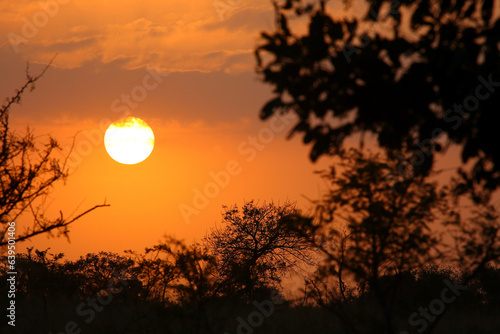 Sonnenaufgang - Krüger Park - Südafrika / Sunrise - Kruger Park - South Africa / © Ludwig