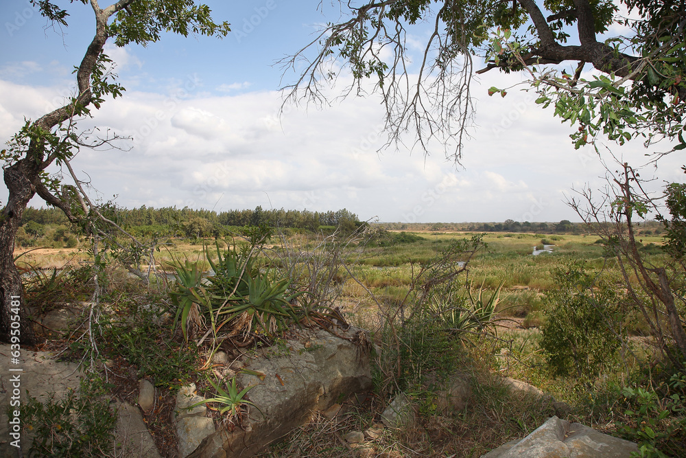 Afrikanischer Busch - Krügerpark - Crocodile River / African Bush - Kruger Park - Crocodile River / Afrikanischer Busch - Krügerpark - Crocodile River / African Bush - Kruger Park - Crocodile River /