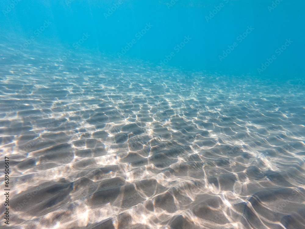 Sandy sea bottom Marine life, Underwater background. Clear water. underwater background with sandy sea bottom.