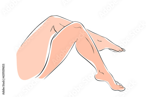woman legs drawing line style vector illustration