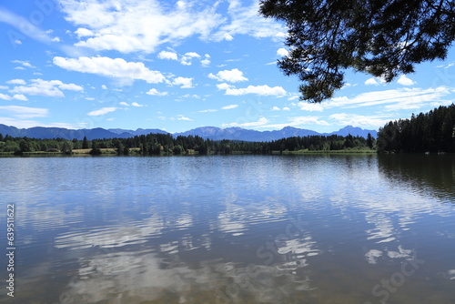 a clear pond in the allgäu, bavaria