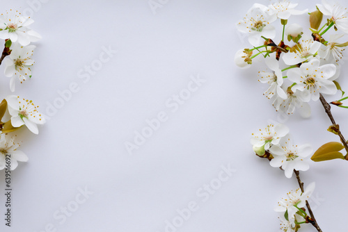 Beautiful cherry blossoms in white on white paper with empty space best background