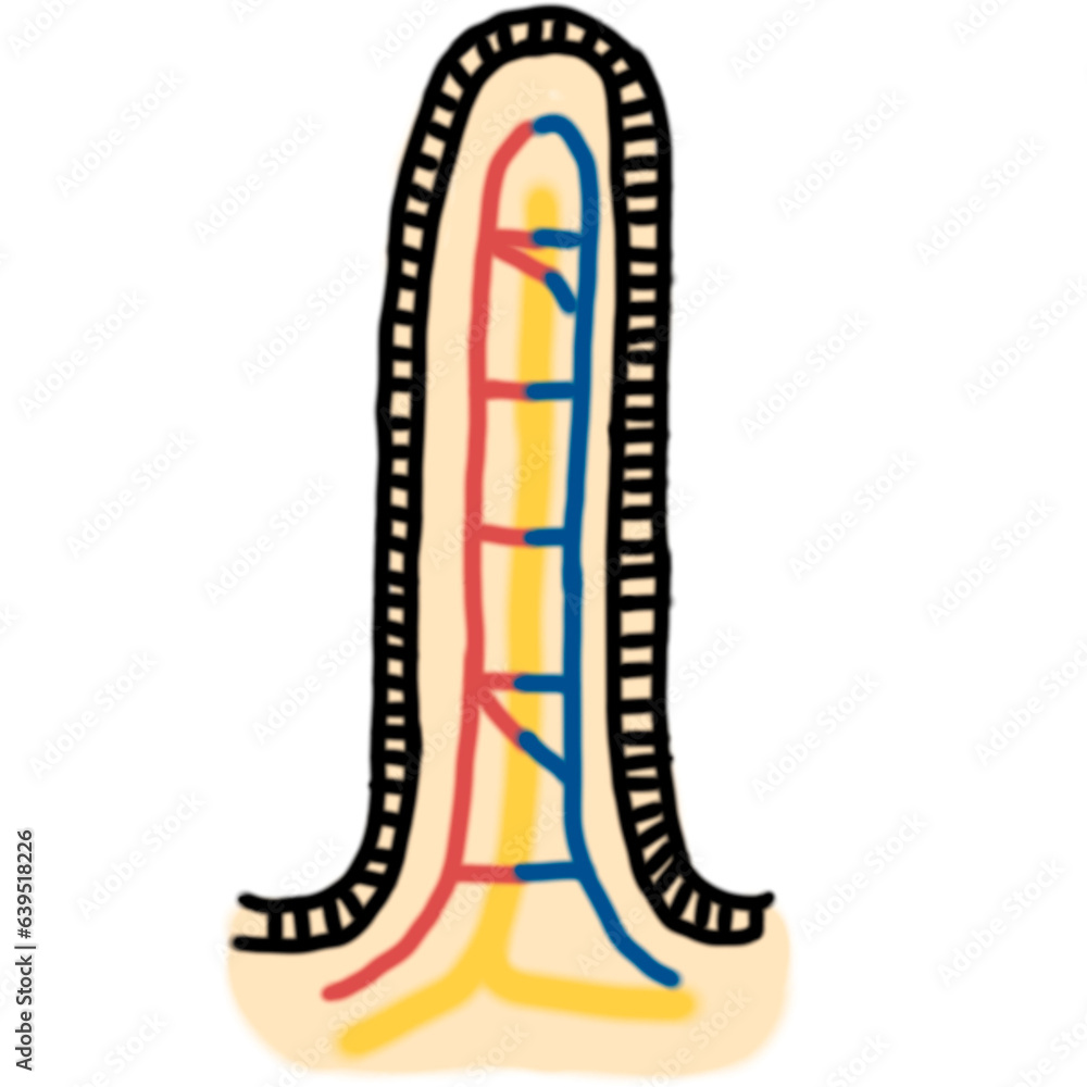 Obraz premium งานศิลปะที่ไม่มีชื่อ