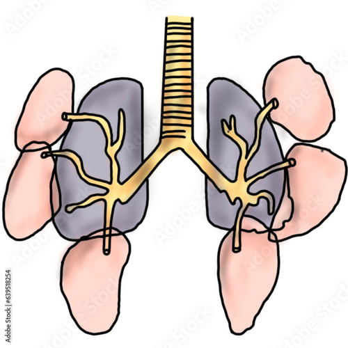 งานศิลปะที่ไม่มีชื่อ