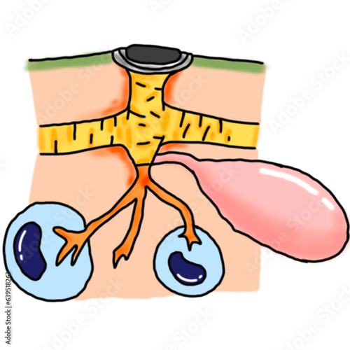 งานศิลปะที่ไม่มีชื่อ