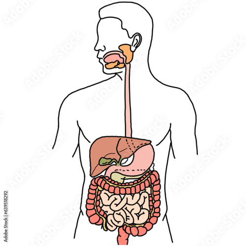 งานศิลปะที่ไม่มีชื่อ
