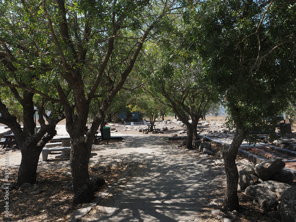 Gamla hiking trails Gamla hiking trails